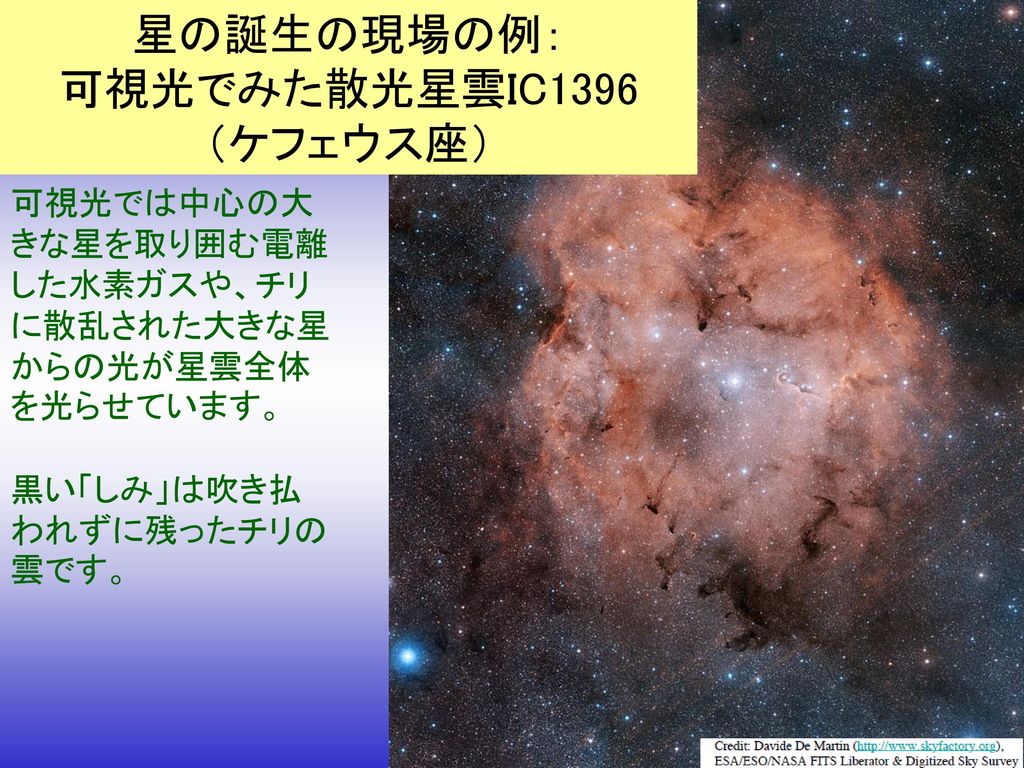星の誕生の現場の例： 可視光でみた散光星雲IC1396 （ケフェウス座）