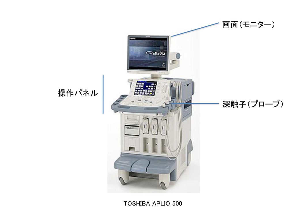 画面（モニター） 操作パネル 深触子（プローブ） TOSHIBA APLIO 500