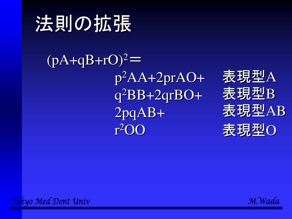 法則の拡張 (pA+qB+rO)2＝ p2AA+2prAO+ q2BB+2qrBO+ 表現型A 2pqAB+ r2OO 表現型B 表現型AB