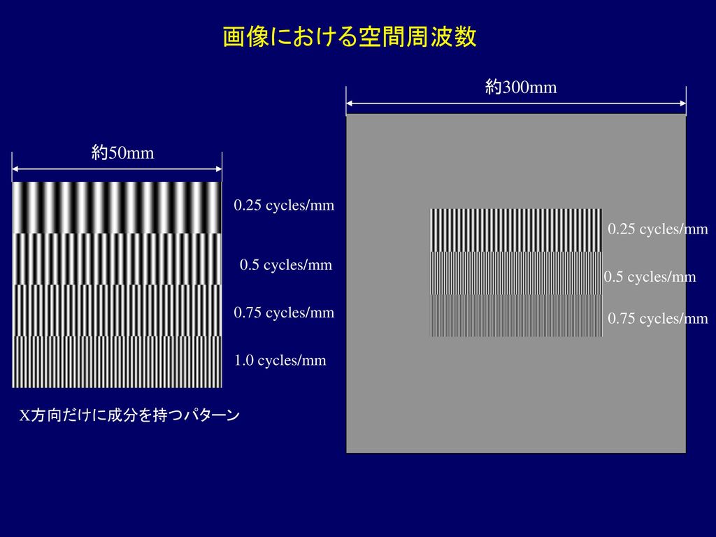 画像における空間周波数 約300mm 約50mm 0.25 cycles/mm 0.25 cycles/mm 0.5 cycles/mm