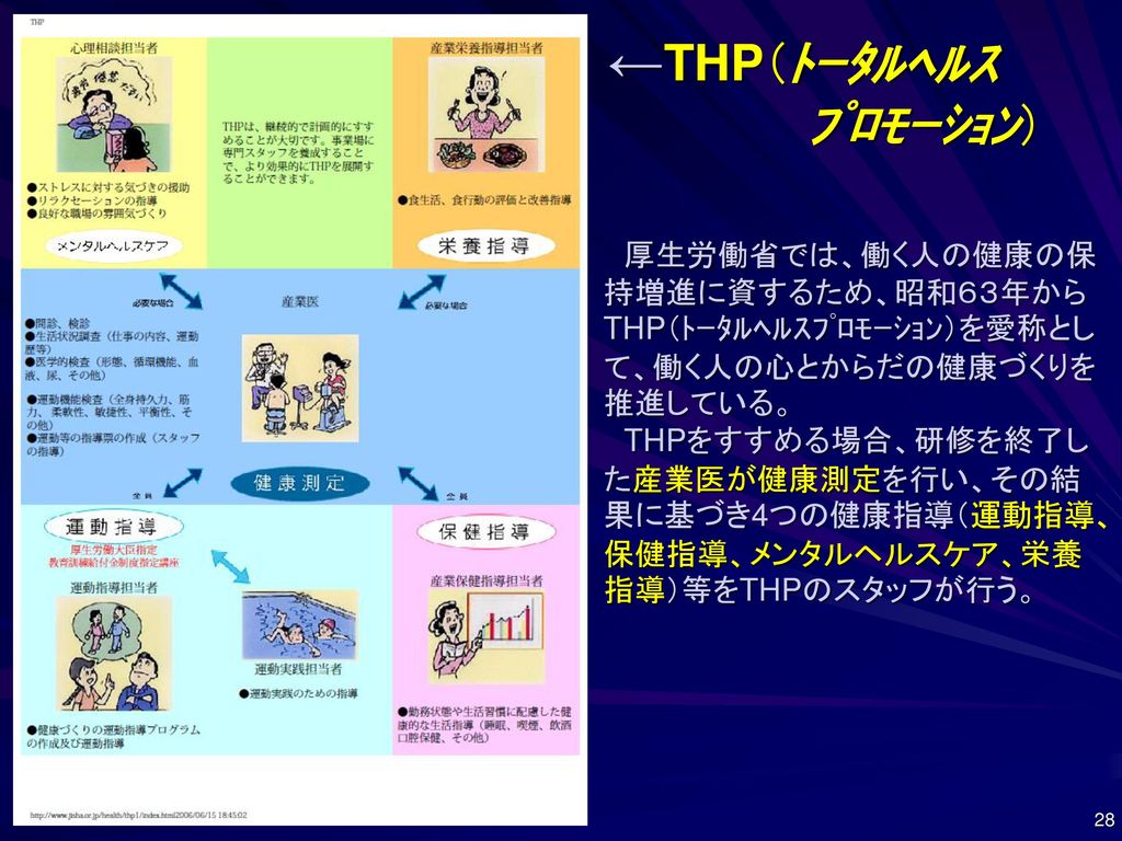 ヘルス プロモーション プラン トータル