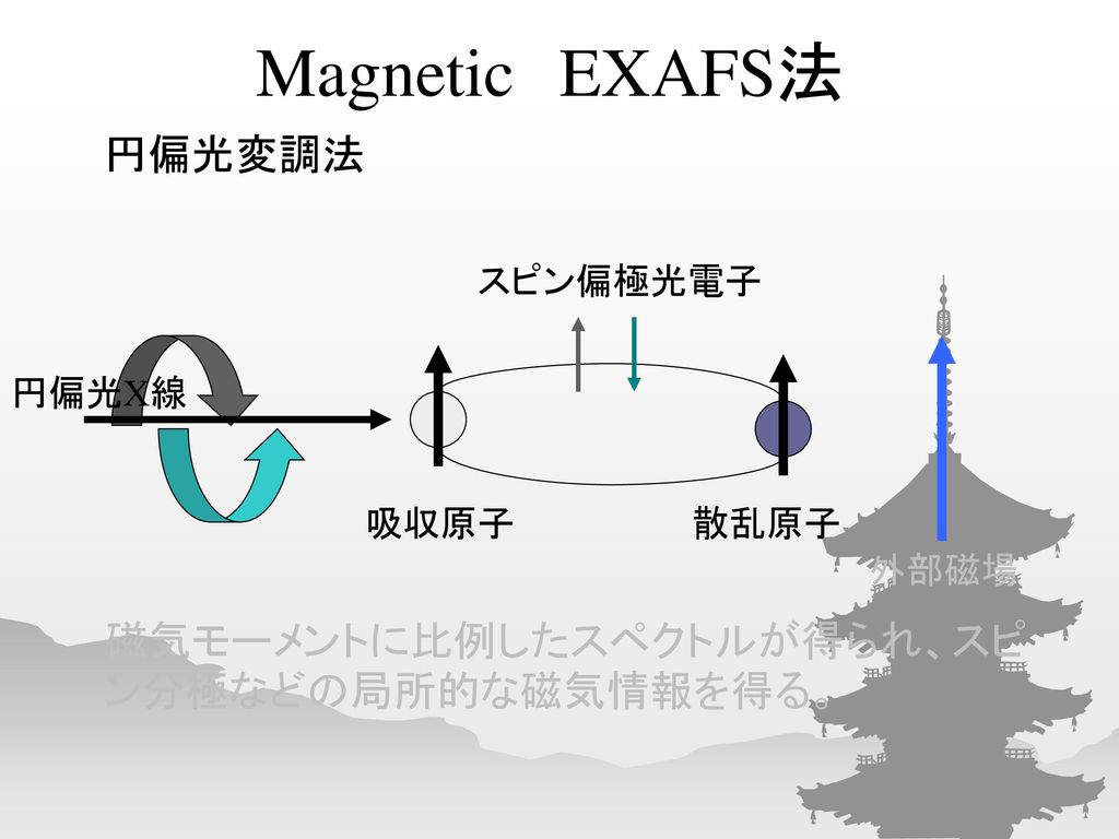 磁気モーメントに比例したスペクトルが得られ、スピン分極などの局所的な磁気情報を得る。