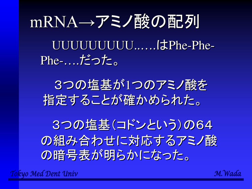 mRNA→アミノ酸の配列 UUUUUUUUU..….はPhe-Phe-Phe-….だった。