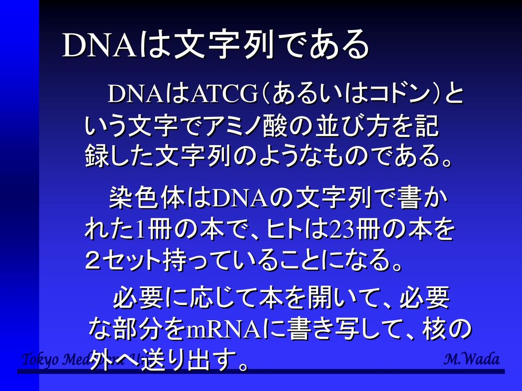DNAは文字列である DNAはATCG（あるいはコドン）という文字でアミノ酸の並び方を記録した文字列のようなものである。