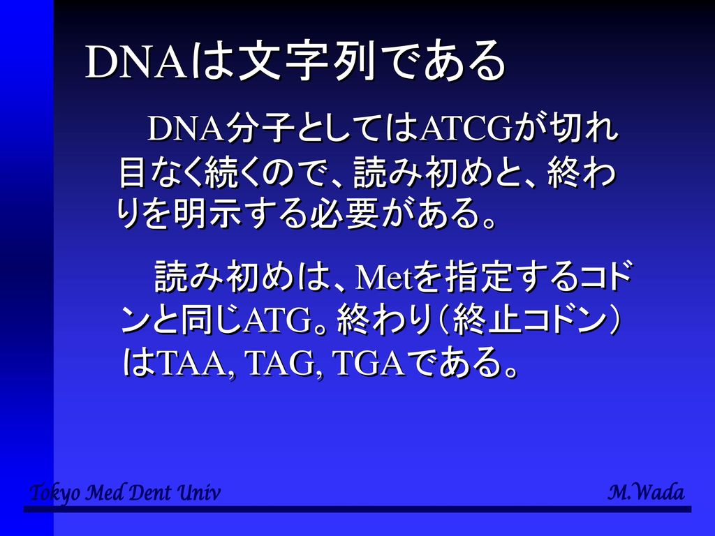 DNAは文字列である DNA分子としてはATCGが切れ目なく続くので、読み初めと、終わりを明示する必要がある。