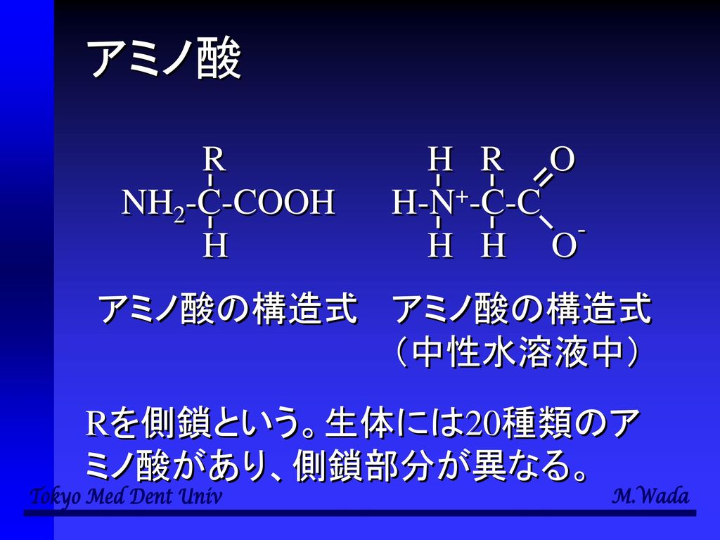 アミノ酸 R NH2-C-COOH H H R O H-N+-C-C H H O- アミノ酸の構造式 アミノ酸の構造式 （中性水溶液中）
