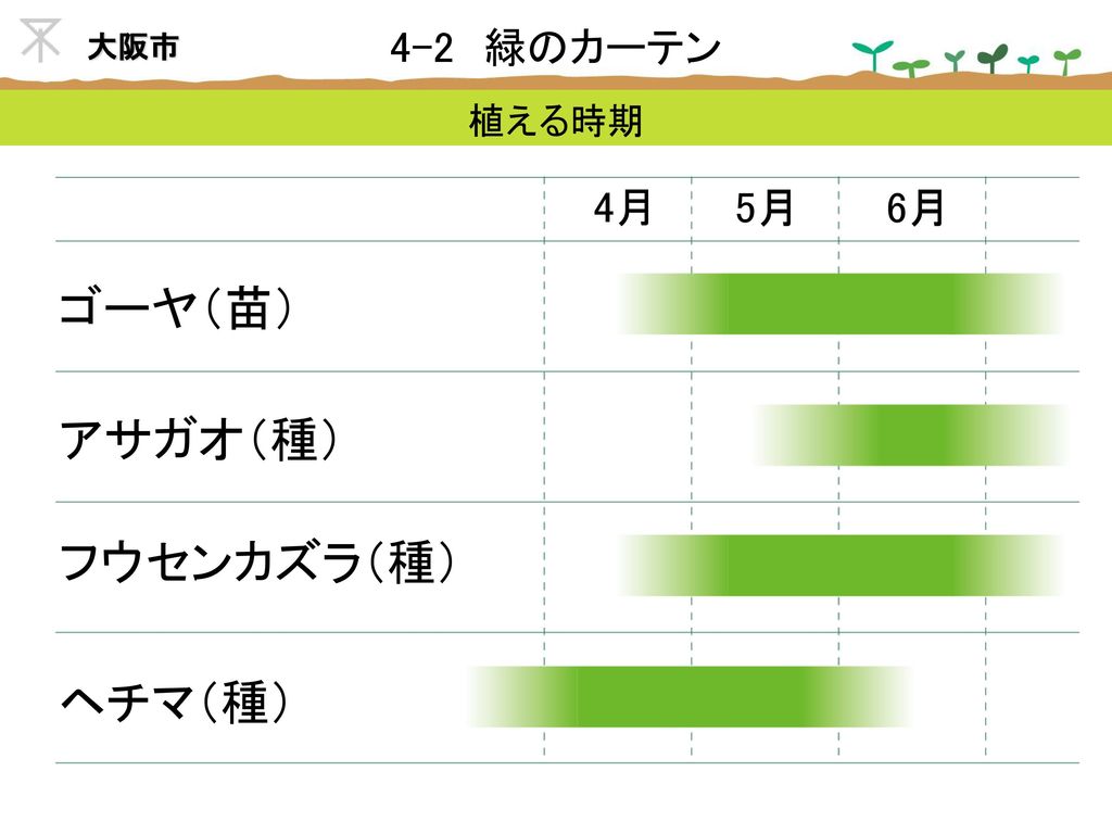 4 2 緑のカーテン これはなんだろう 大阪市 今からお見せするこれらの植物の名前を知っていますか Ppt Download 4 2 緑のカーテン これはなんだろう 大阪市 今からお見せするこれらの植物の名前を知っていますか Ppt Download