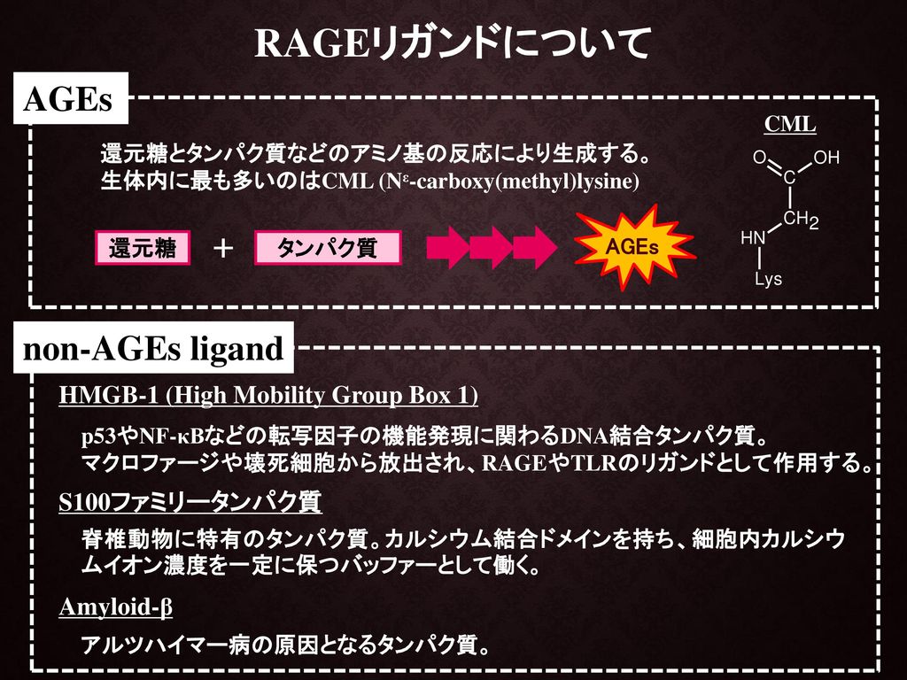 RAGEリガンドについて AGEs non-AGEs ligand ＋ HMGB-1 (High Mobility Group Box 1)