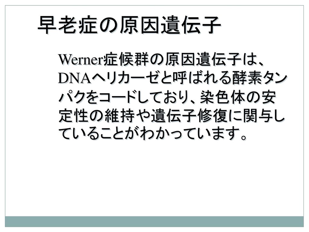 早老症の原因遺伝子 Werner症候群の原因遺伝子は、DNAヘリカーゼと呼ばれる酵素タンパクをコードしており、染色体の安定性の維持や遺伝子修復に関与していることがわかっています。