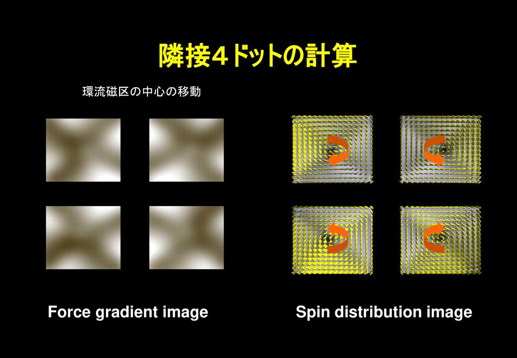 隣接４ドットの計算 環流磁区の中心の移動 Force gradient image Spin distribution image