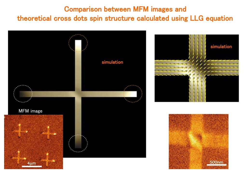 Comparison between MFM images and theoretical cross dots spin structure calculated using LLG equation