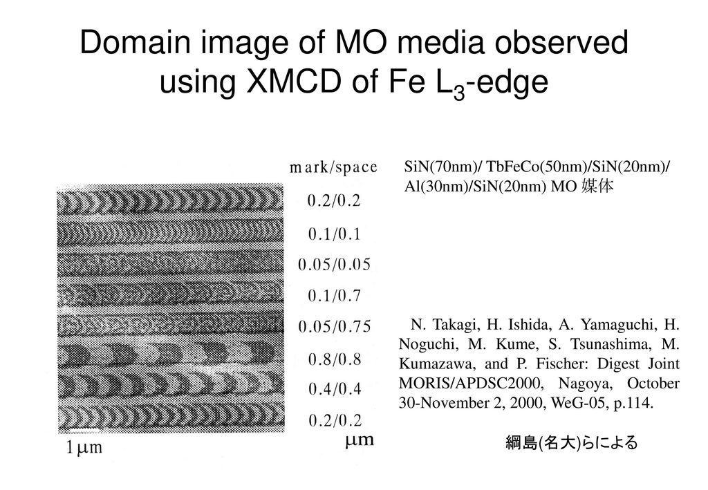Domain image of MO media observed using XMCD of Fe L3-edge