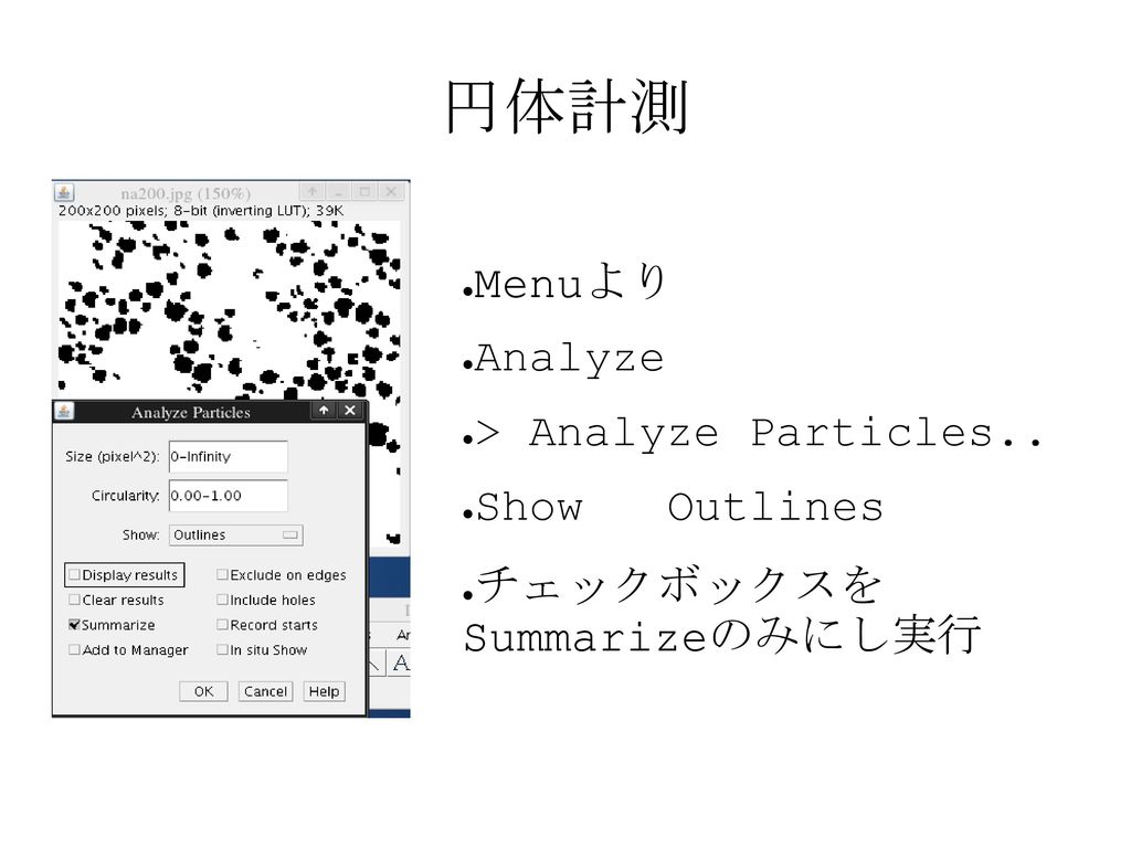 円体計測 Menuより Analyze > Analyze Particles.. Show Outlines