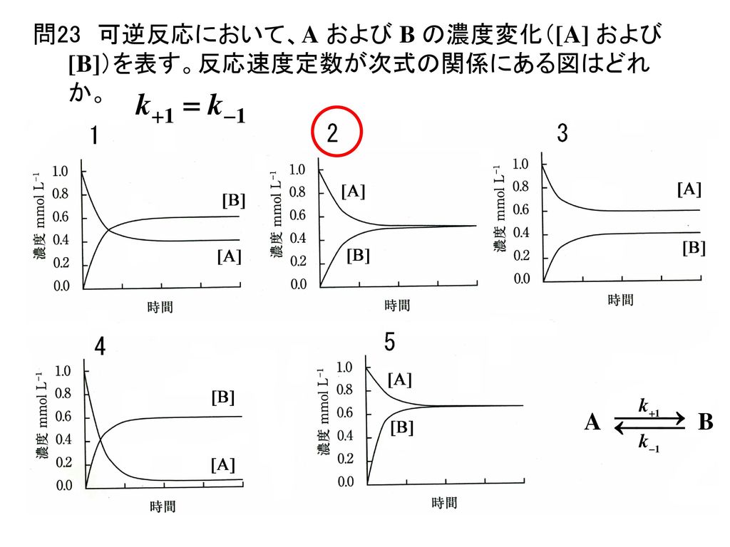 問23 可逆反応において、A および B の濃度変化（[A] および [B]）を表す。反応速度定数が次式の関係にある図はどれか。