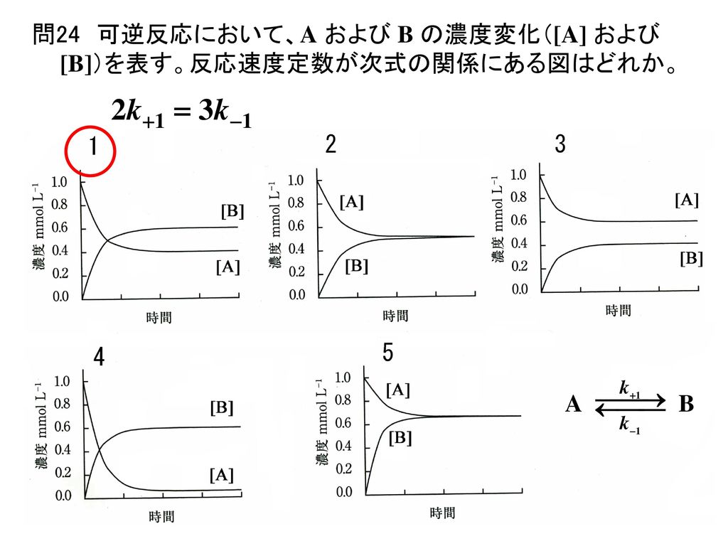 問24 可逆反応において、A および B の濃度変化（[A] および [B]）を表す。反応速度定数が次式の関係にある図はどれか。