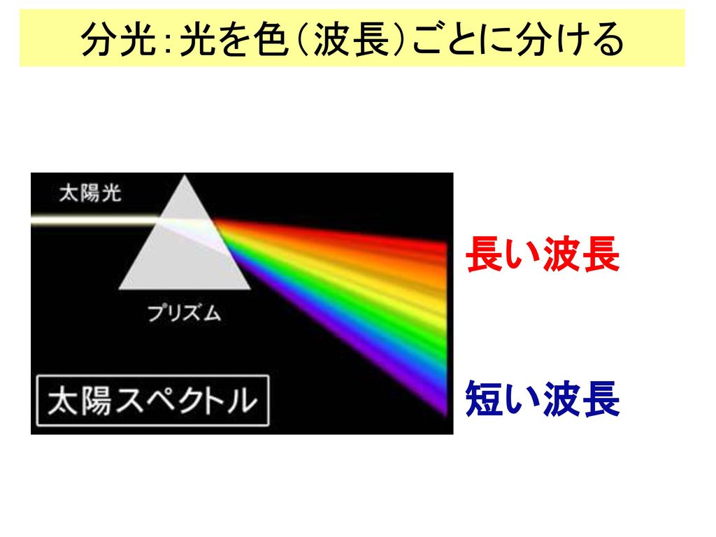 分光：光を色（波長）ごとに分ける 長い波長 短い波長