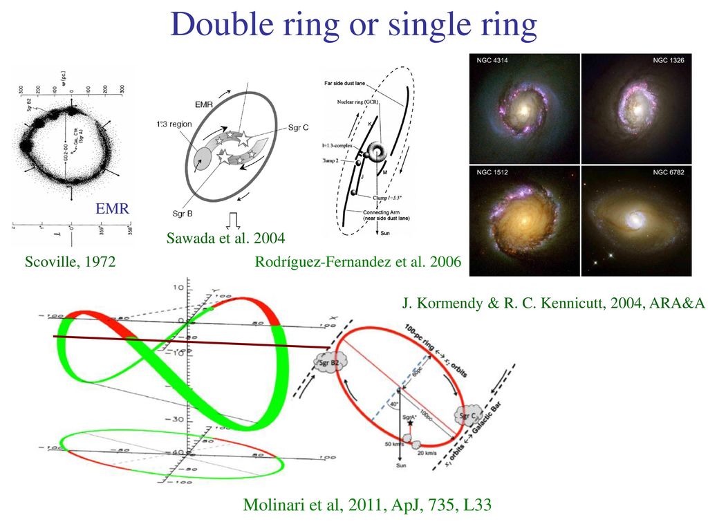 Double ring or single ring