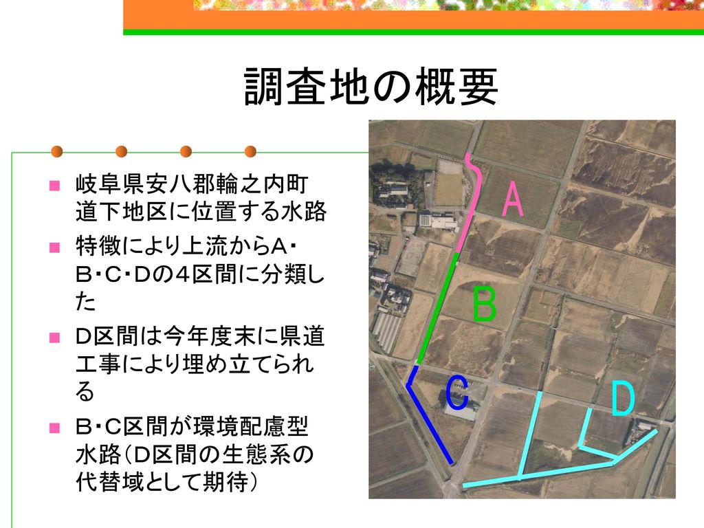 調査地の概要 A B C D 岐阜県安八郡輪之内町道下地区に位置する水路 特徴により上流からＡ・Ｂ・Ｃ・Ｄの４区間に分類した