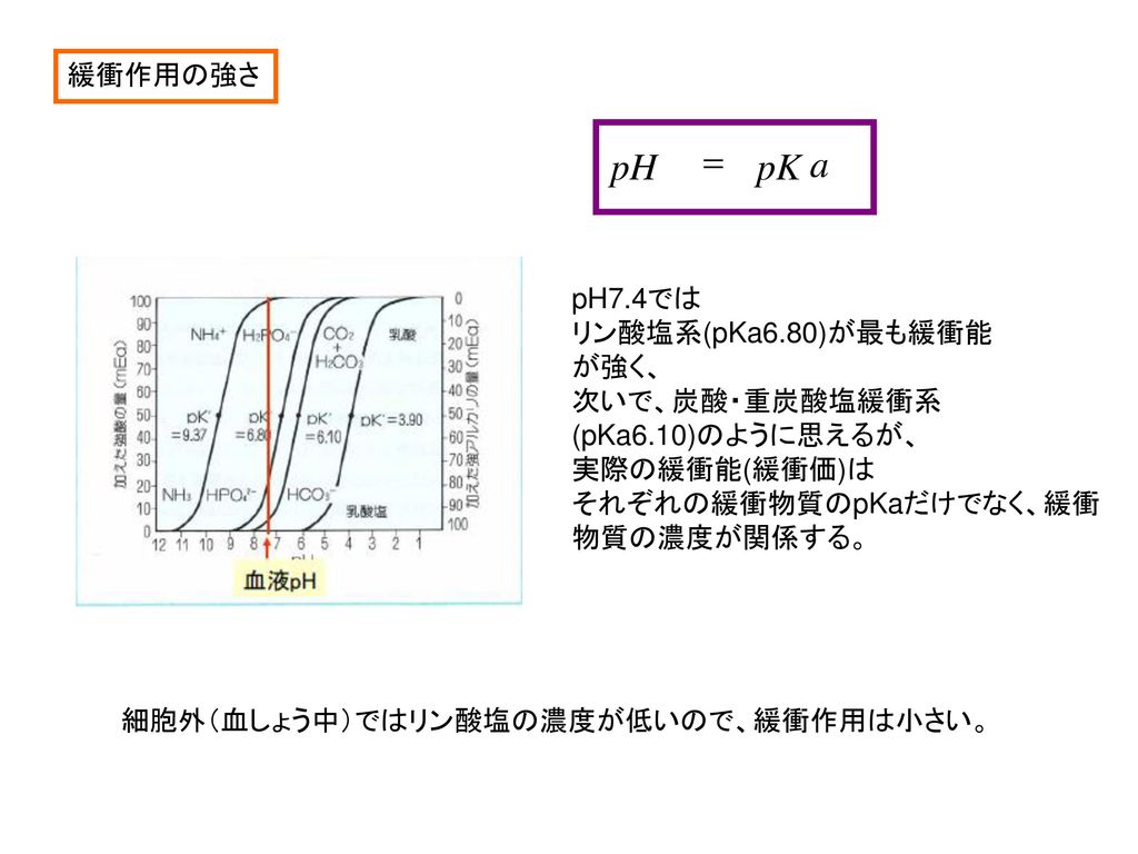 pH = pK a 緩衝作用の強さ pH7.4では リン酸塩系(pKa6.80)が最も緩衝能 が強く、 次いで、炭酸・重炭酸塩緩衝系