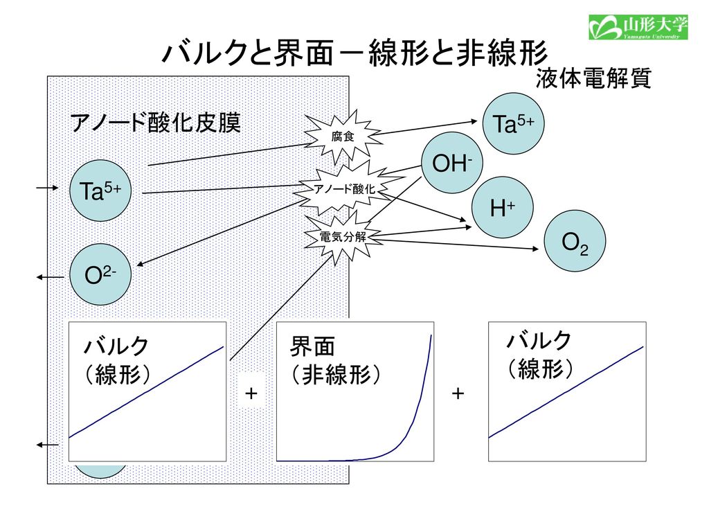 バルクと界面－線形と非線形 液体電解質 Ta5+ アノード酸化皮膜 OH- Ta5+ H+ O2 O2- バルク （線形） バルク （線形）