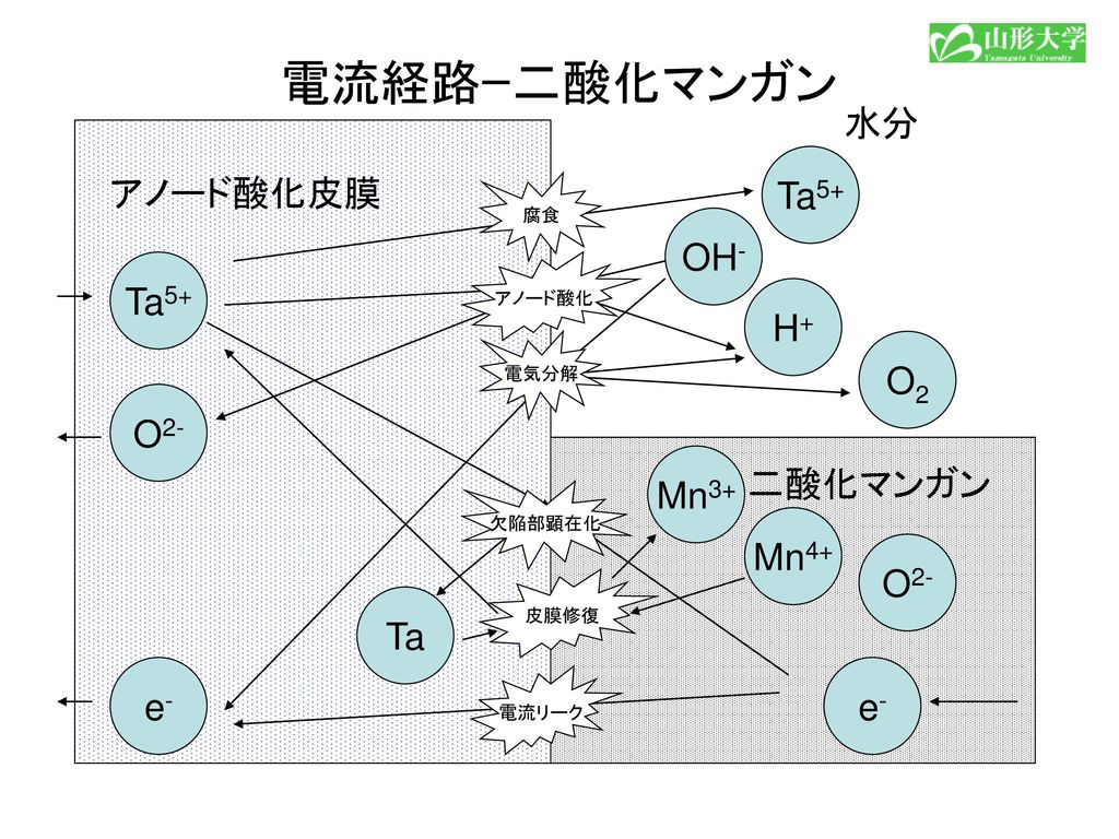 電流経路ｰ二酸化マンガン 水分 Ta5+ アノード酸化皮膜 OH- Ta5+ H+ O2 O2- Mn3+ 二酸化マンガン Mn4+ O2-