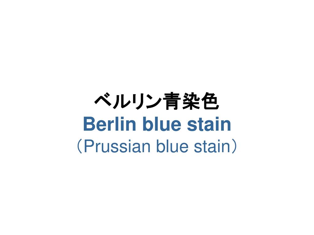 ベルリン青染色 Berlin blue stain （Prussian blue stain）