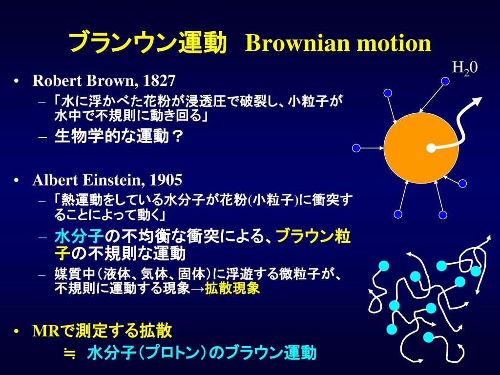 ブランウン運動 Brownian motion