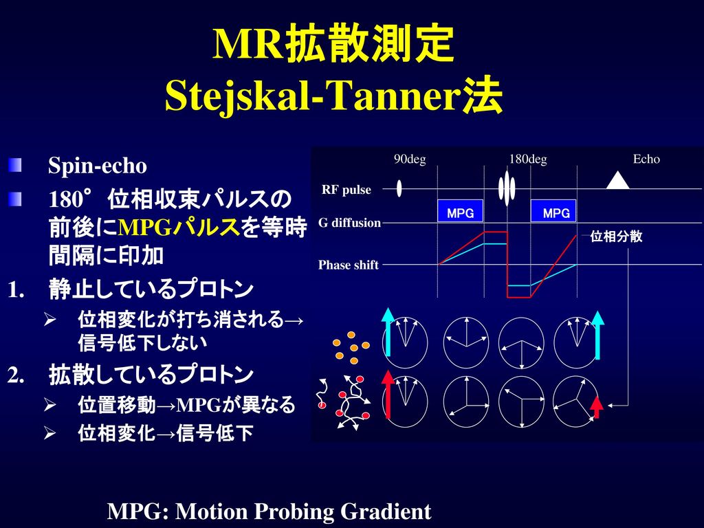 MR拡散測定 Stejskal-Tanner法