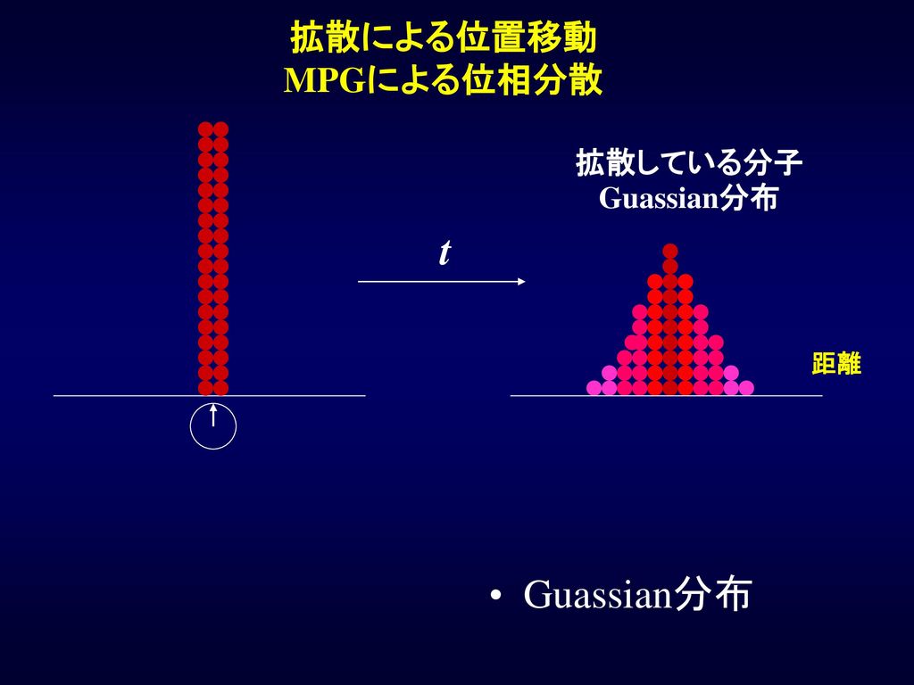 拡散による位置移動 MPGによる位相分散 拡散している分子Guassian分布 t 距離 Guassian分布
