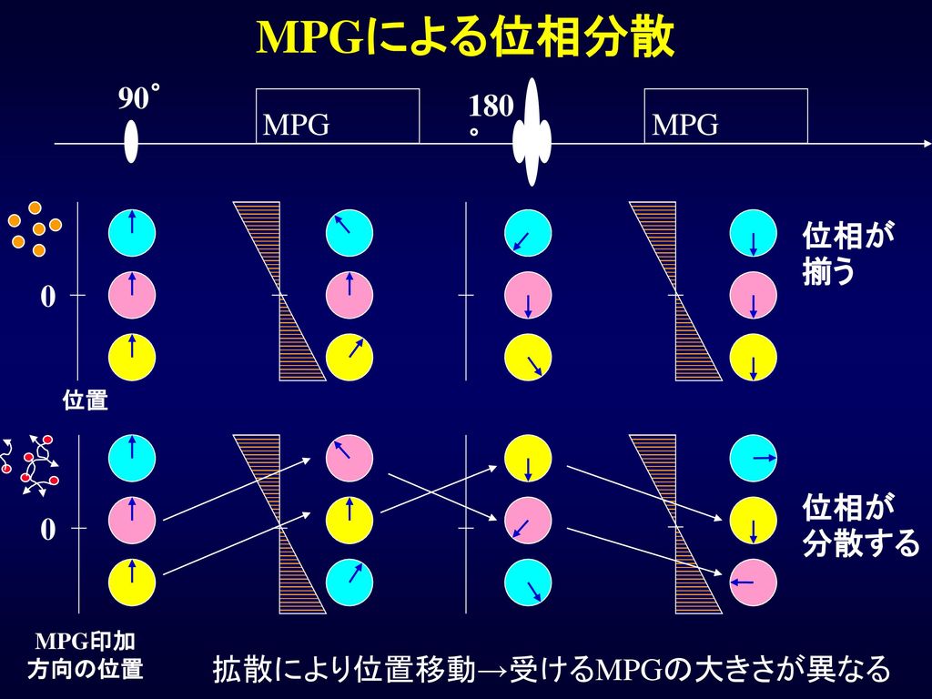 MPGによる位相分散 90゜ 180゜ MPG MPG 位相が揃う 位相が分散する 拡散により位置移動→受けるMPGの大きさが異なる 位置