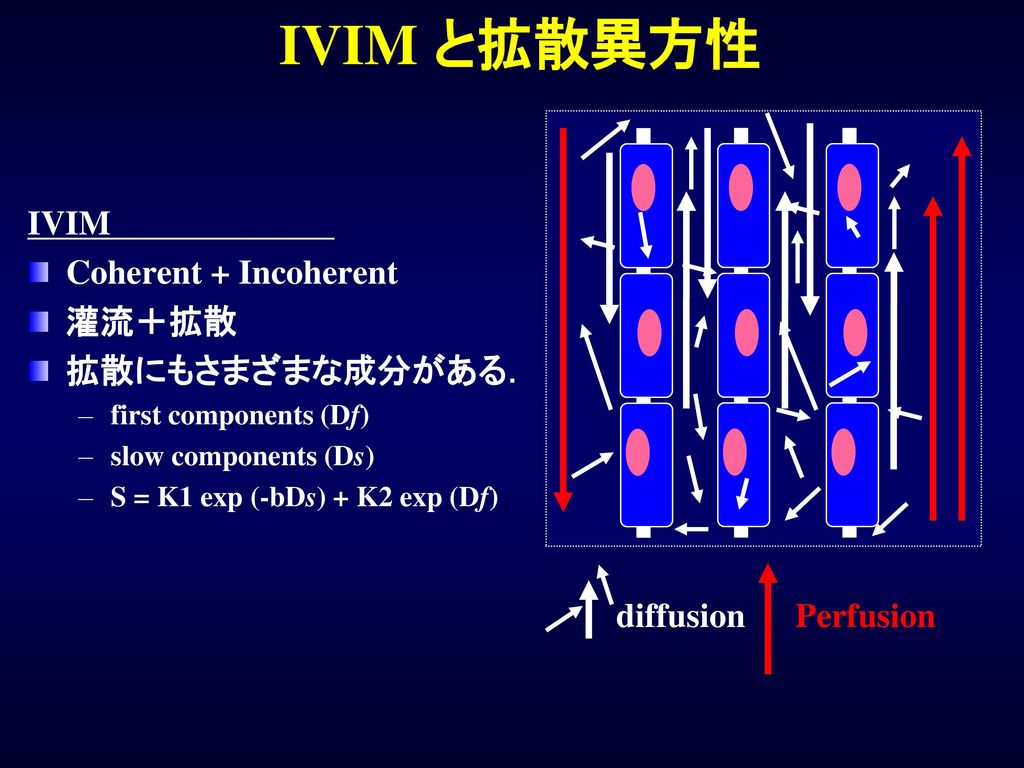 IVIM と拡散異方性 IVIM Coherent + Incoherent 灌流＋拡散 拡散にもさまざまな成分がある． diffusion