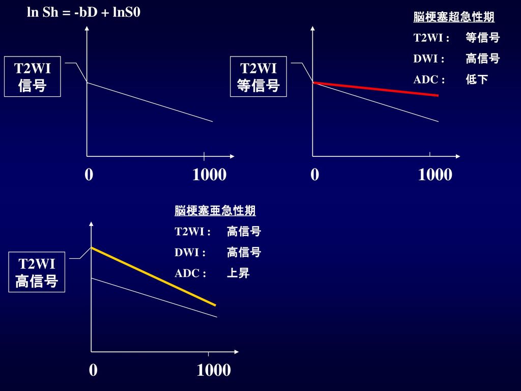 ln Sh = -bD + lnS0 T2WI等信号 T2WI信号 T2WI高信号 脳梗塞超急性期