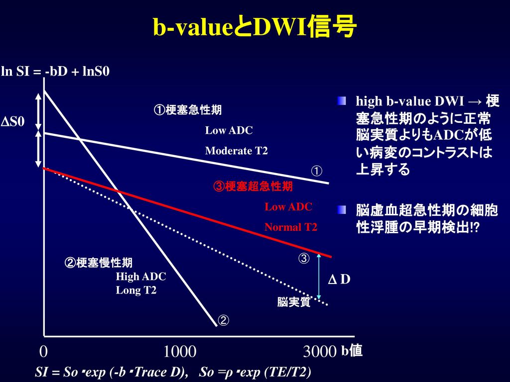 b-valueとDWI信号 ln SI = -bD + lnS0