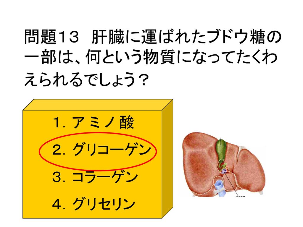 問題１３ 肝臓に運ばれたブドウ糖の一部は、何という物質になってたくわえられるでしょう？
