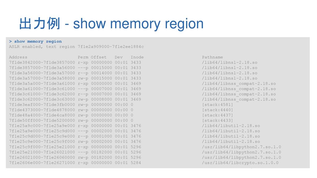 出力例 - show memory region