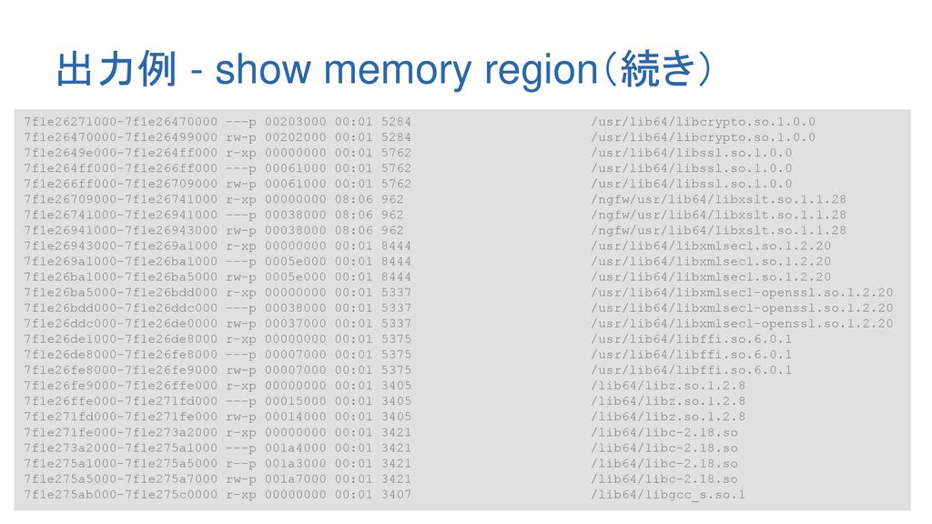 出力例 - show memory region（続き）