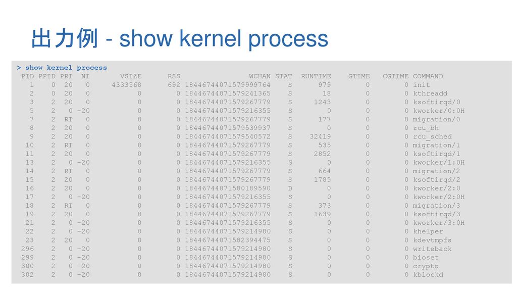 出力例 - show kernel process