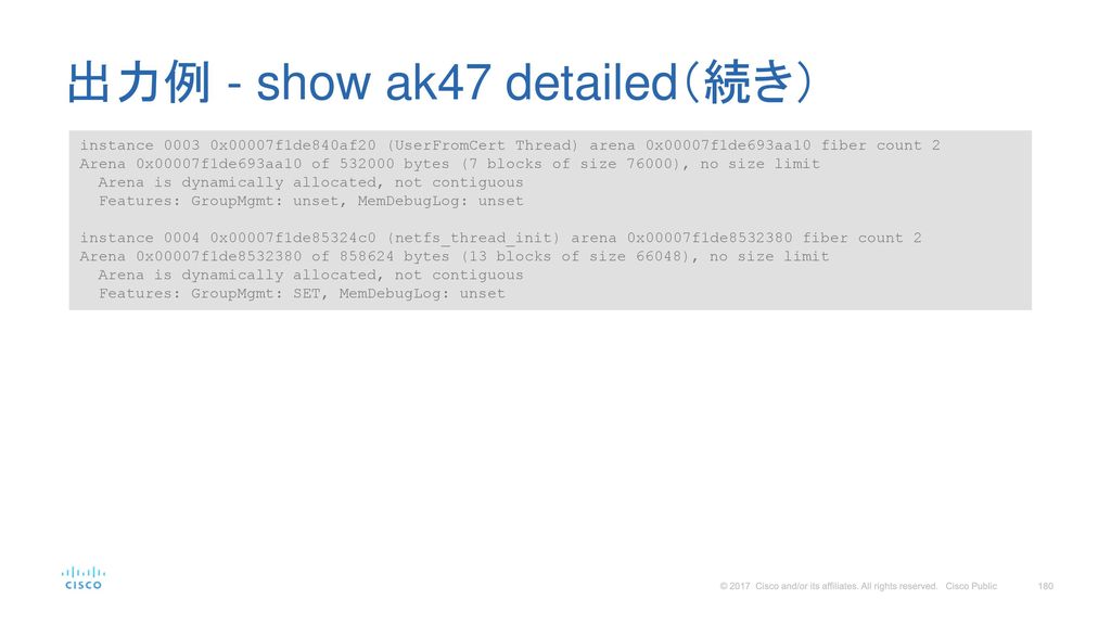 出力例 - show ak47 detailed（続き）