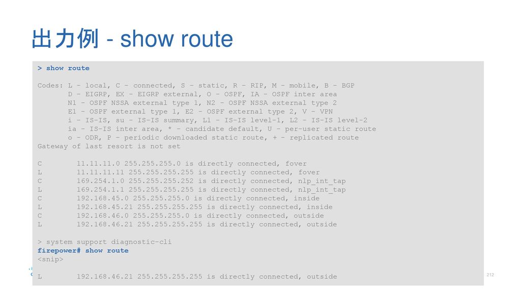 出力例 - show route > show route
