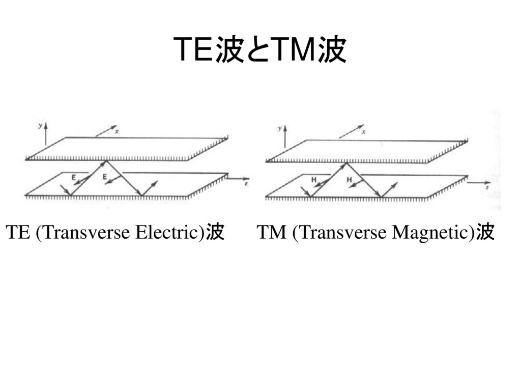 TE波とTM波 TE (Transverse Electric)波 TM (Transverse Magnetic)波