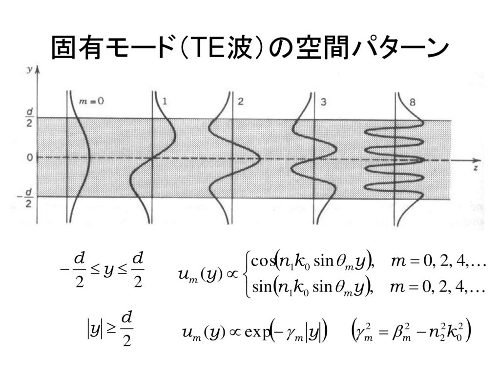 固有モード（TE波）の空間パターン