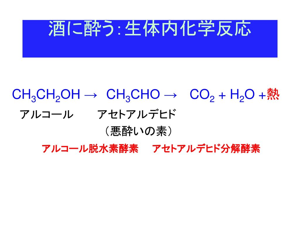 酒に酔う：生体内化学反応 CH3CH2OH → CH3CHO → CO2 + H2O +熱 アルコール アセトアルデヒド （悪酔いの素）