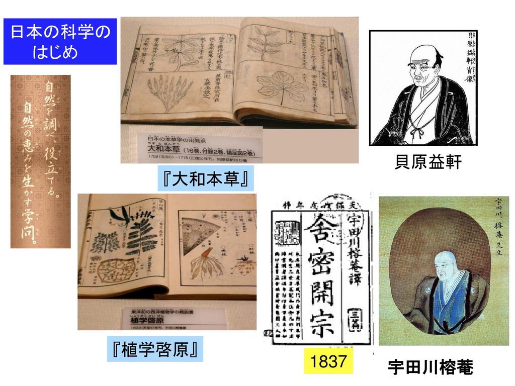 日本の科学の はじめ 貝原益軒 『大和本草』 『植学啓原』 1837 宇田川榕菴