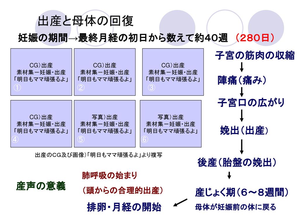 １ 受精 妊娠 出産 ２ 妊娠 出産期の健康のために Ppt Download