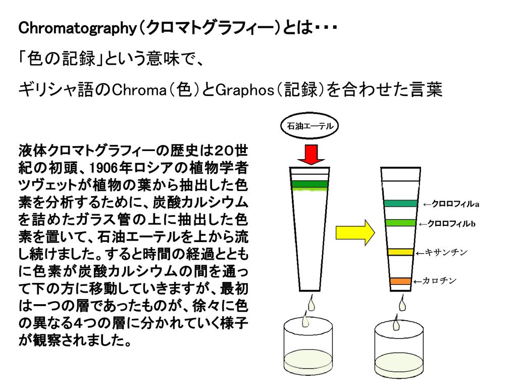 くろまとぐらふぃー その１ Ppt Download