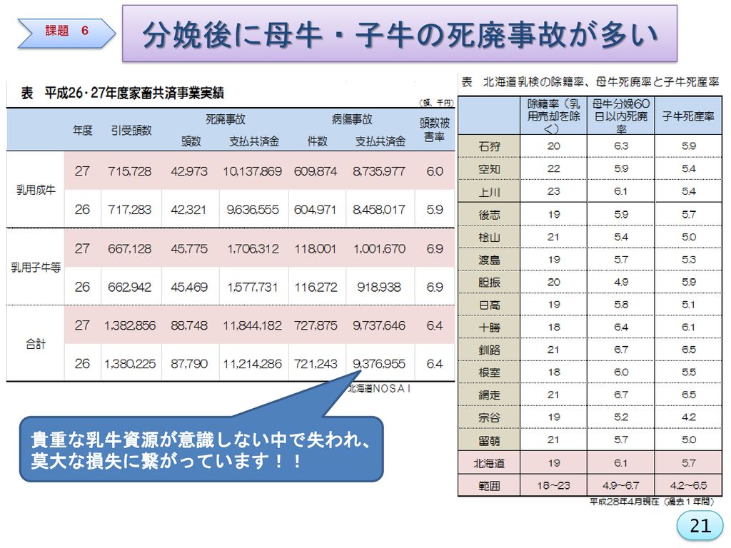 乳用牛ベストパフオーマンス 実現に向けて 後継牛確保に向けた課題と技術的対応 Ppt Download