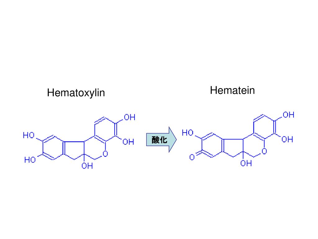Hematein Hematoxylin 酸化