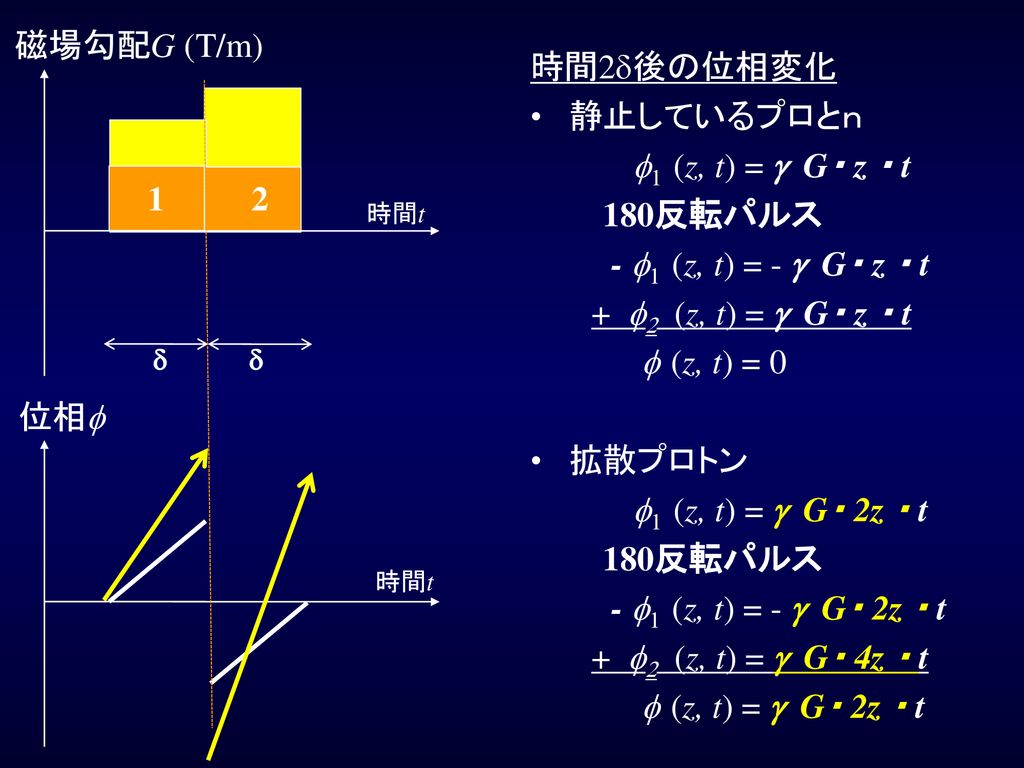 磁場勾配G (T/m) 時間2d後の位相変化 静止しているプロとｎ f1 (z, t) = g G・ z ・ t 180反転パルス