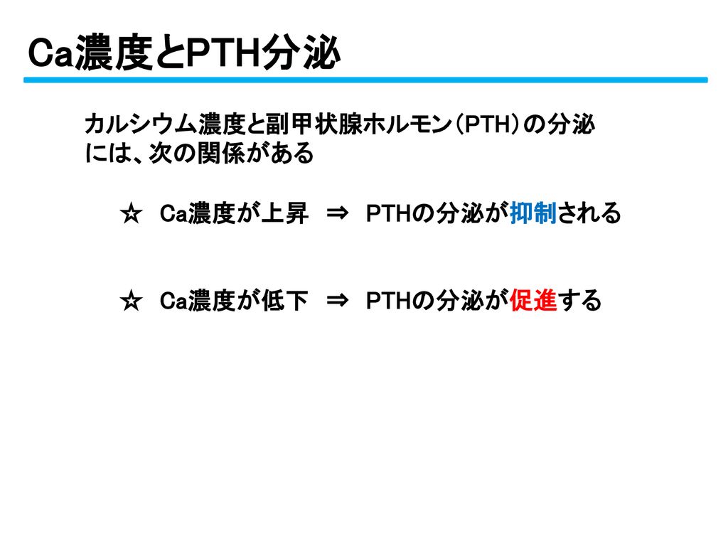 Ca濃度とPTH分泌 カルシウム濃度と副甲状腺ホルモン（PTH）の分泌には、次の関係がある ☆ Ca濃度が上昇 ⇒ PTHの分泌が抑制される