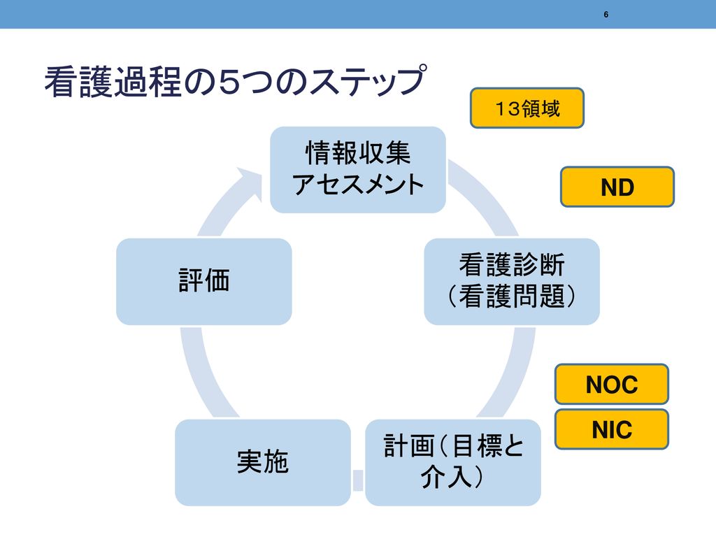 看護過程の５つのステップ １３領域 情報収集 アセスメント 看護診断 （看護問題） 計画（目標と介入） 実施 評価 ND NOC NIC